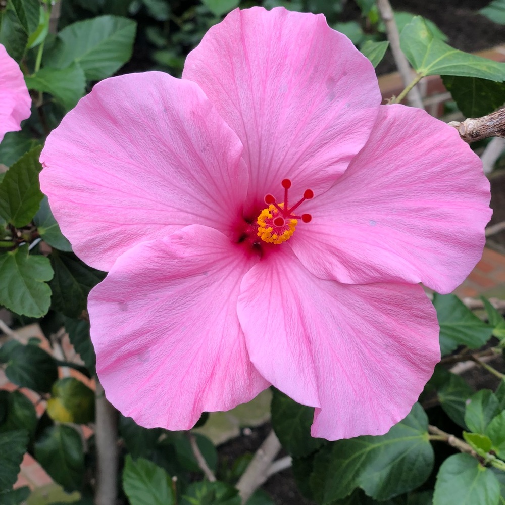 Meet your Posher, Corrina